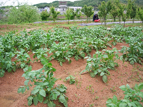 DSCN5935.JPG