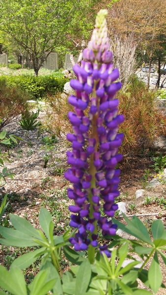 P1010094.JPG
