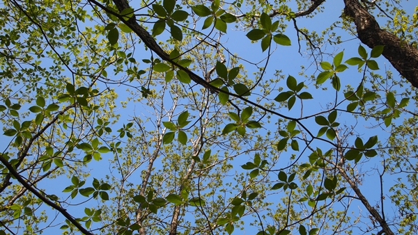 P1010161.JPG