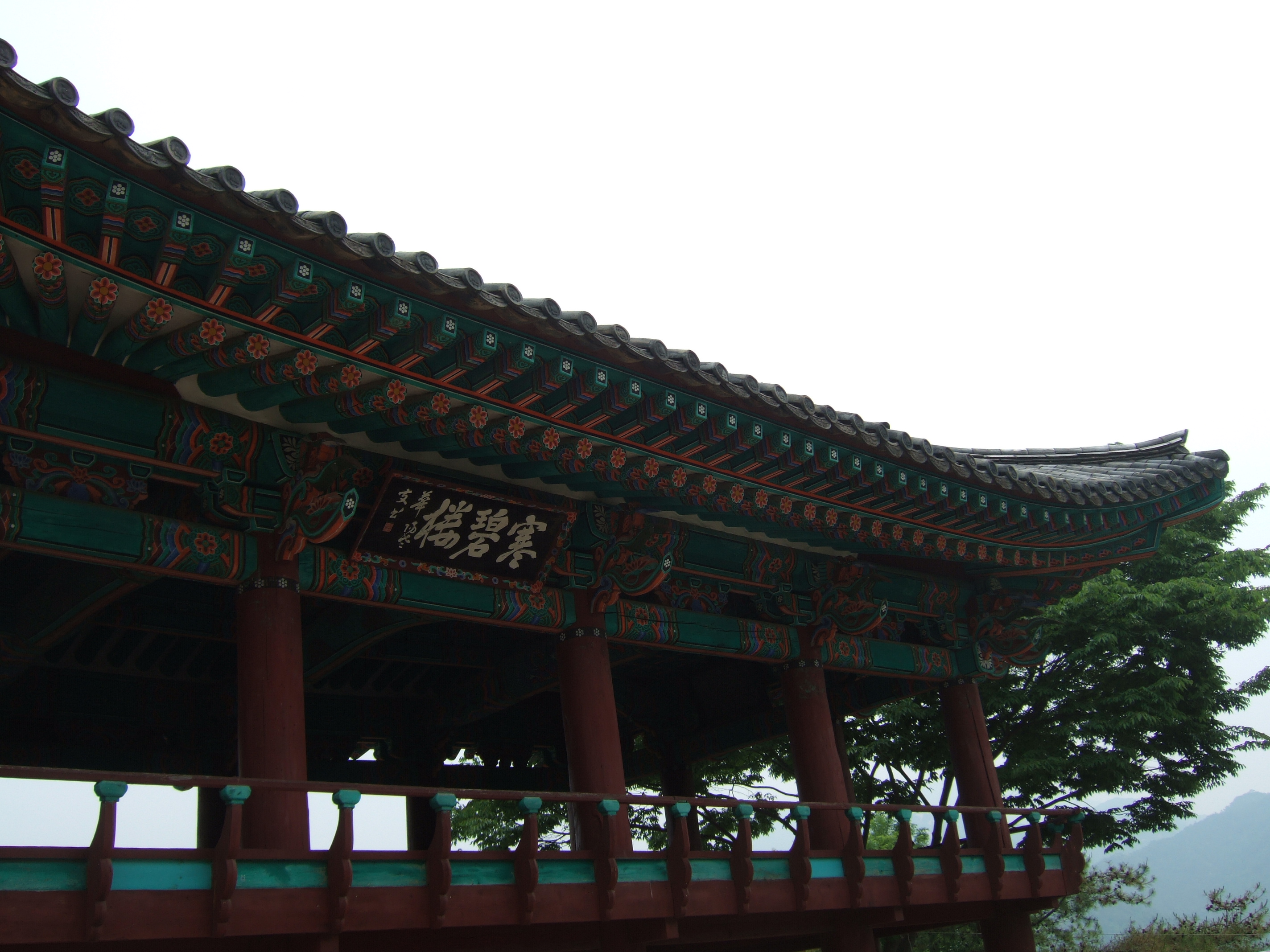 DSCF2046.JPG