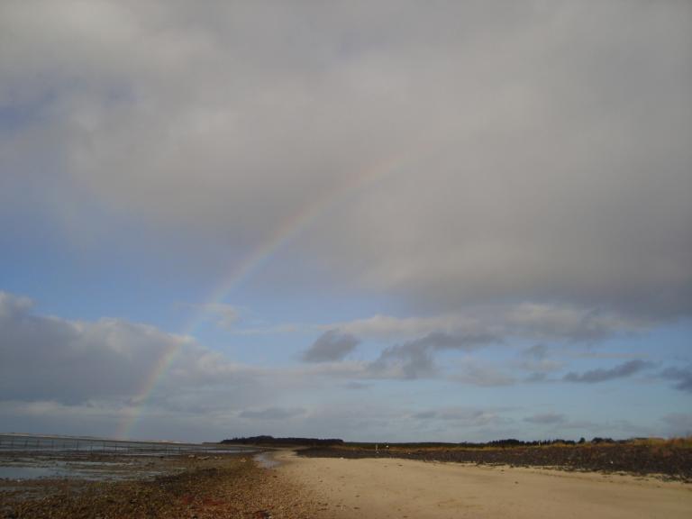 Insel F?hr november 2010 104.JPG