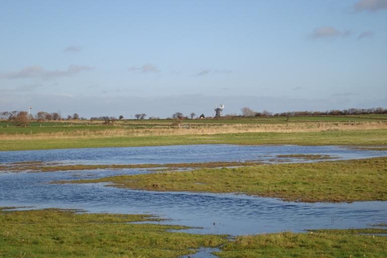 Insel F?hr november 2010 120.JPG