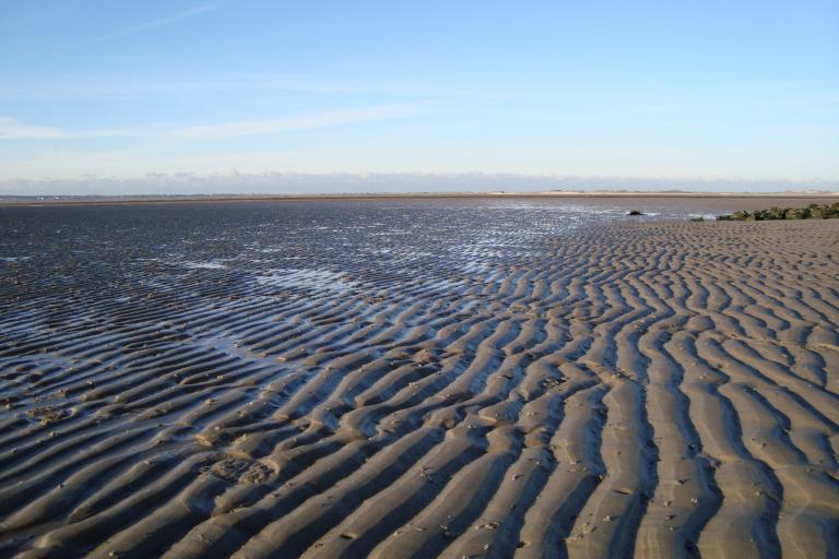Insel F?hr november 2010 175.JPG