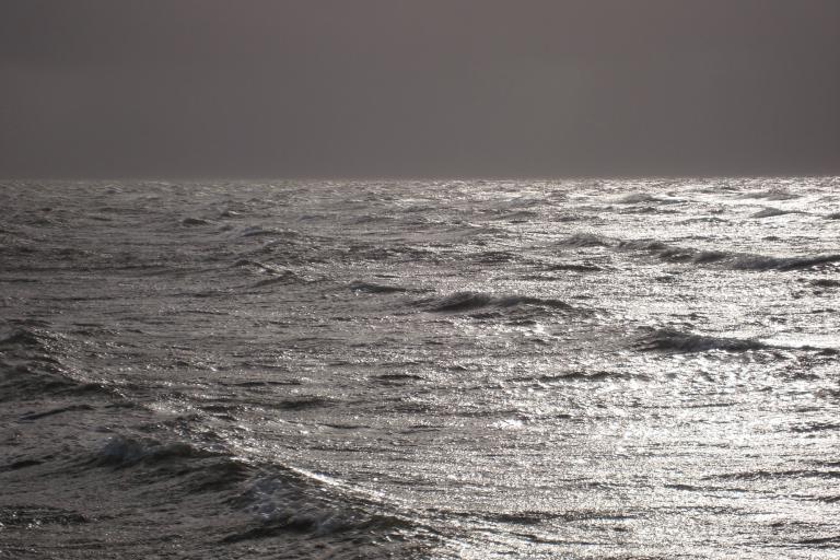 Insel F?hr november 2010 203.JPG
