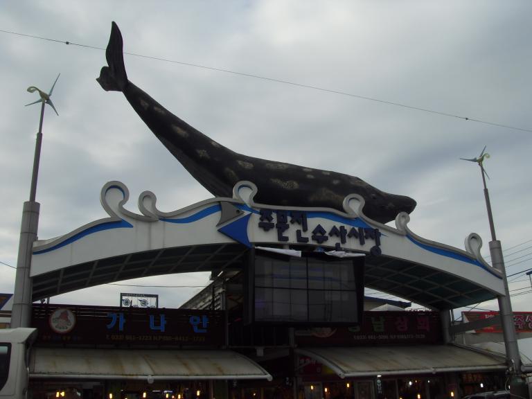SDC11256.JPG