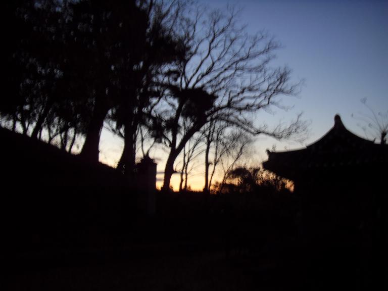 SDC11335.JPG
