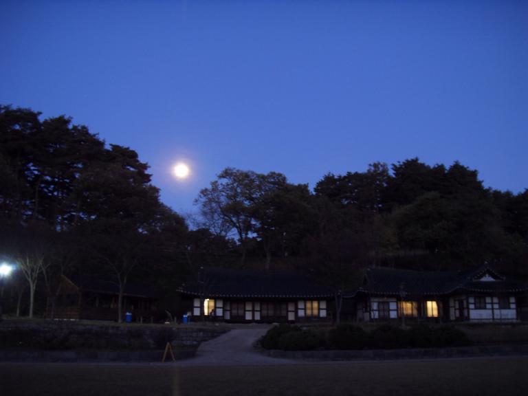 SDC11338.JPG
