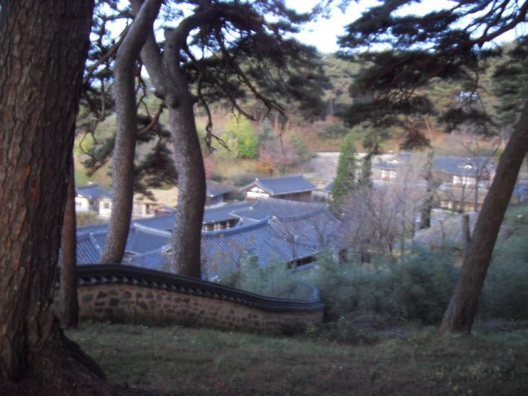 SDC11370.JPG