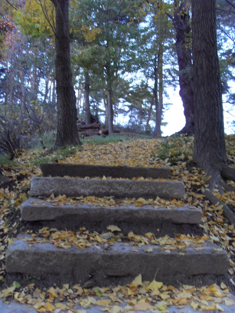 SDC11385.JPG