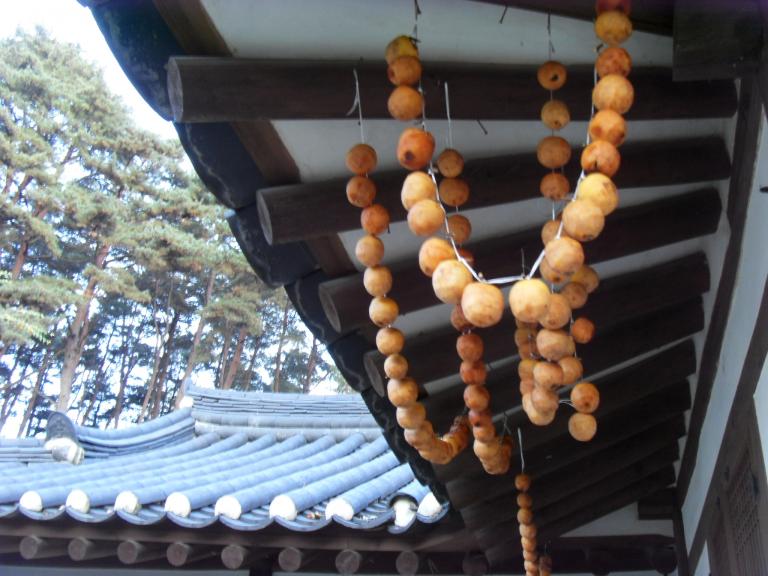 SDC11401.JPG