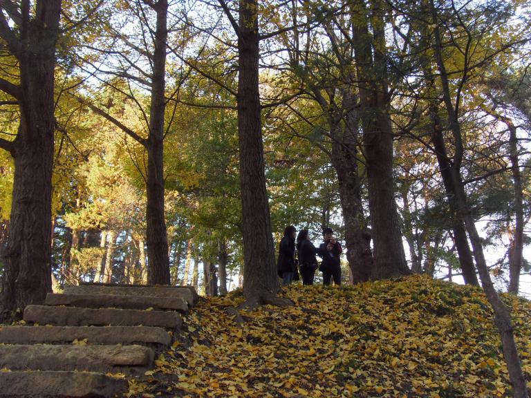 SDC11460.JPG