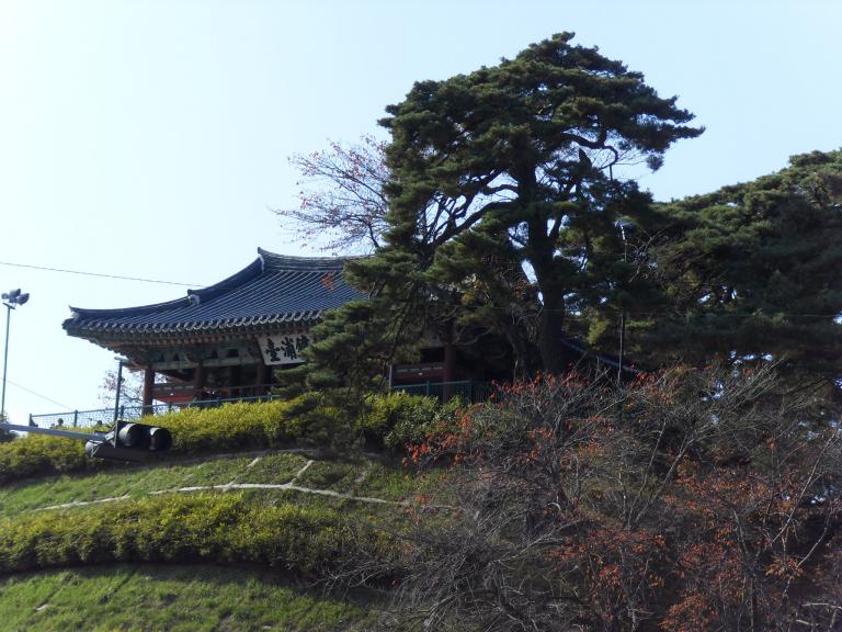 SDC11525.JPG