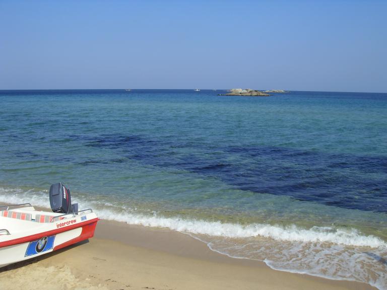 SDC11529.JPG