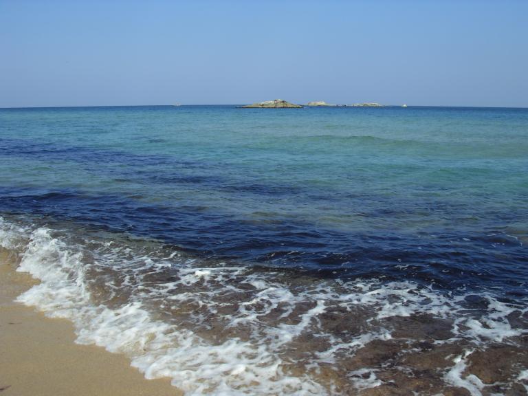 SDC11546.JPG