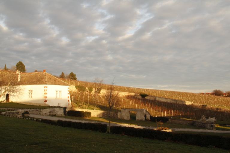 Thallern2.JPG