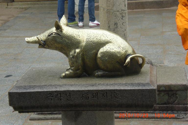 CIMG0030.JPG