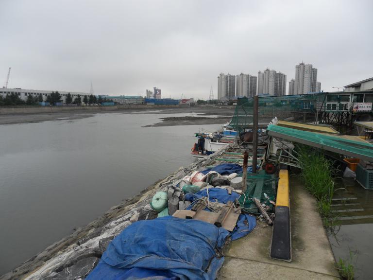 SDC18462.JPG