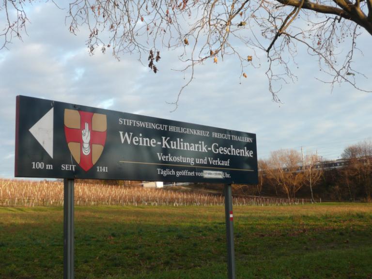Thallern 8.JPG