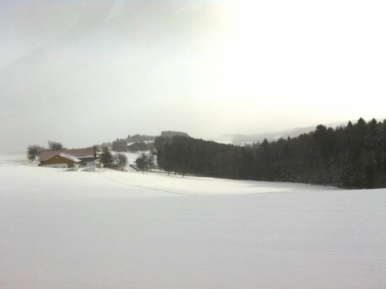 snow 4.JPG