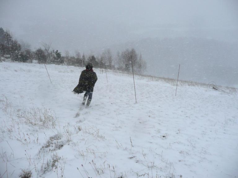 snow 5.JPG