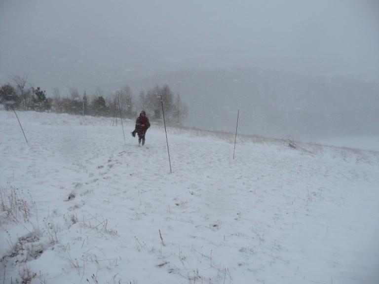 snow 6.JPG