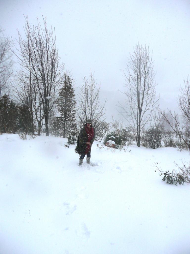 snow 7.JPG