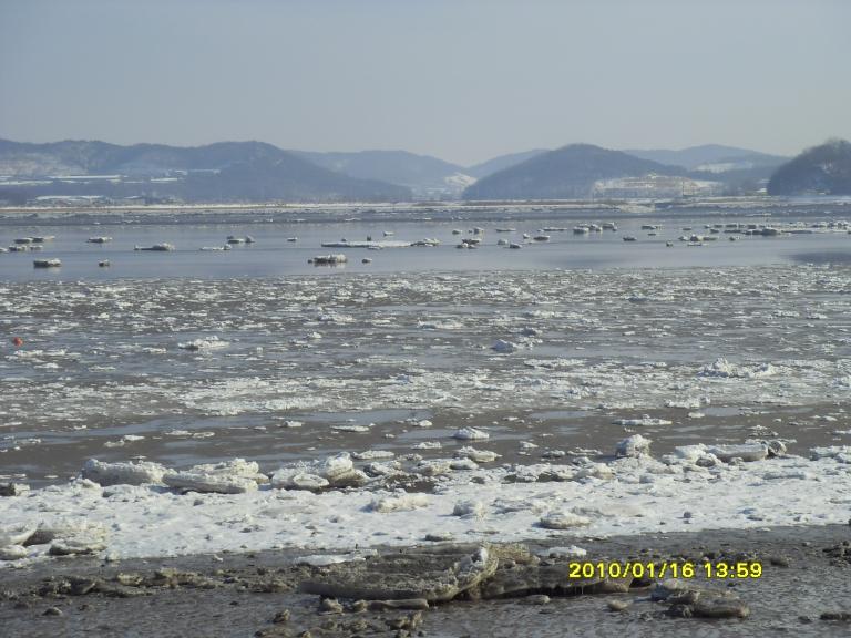 SDC19463.JPG