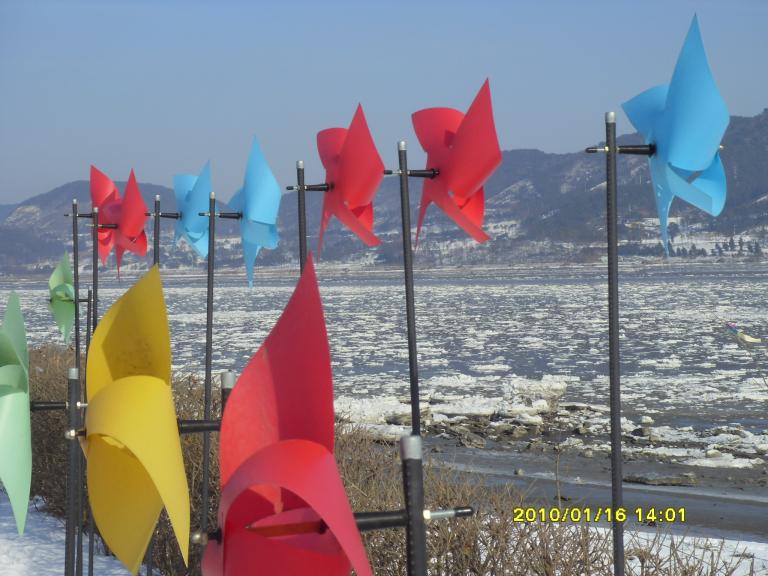 SDC19468.JPG