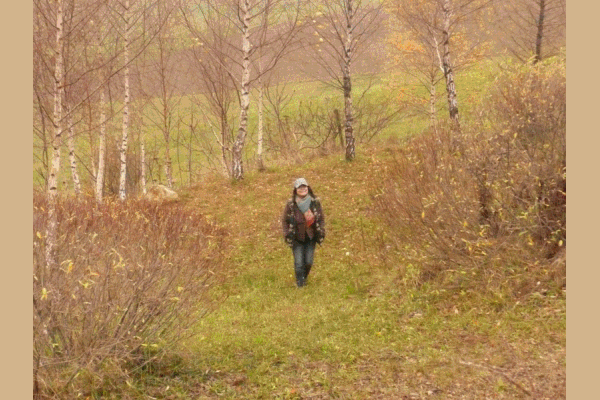 anigif2.gif