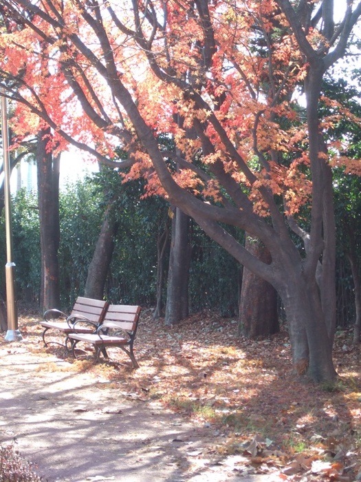 DSCF6326.JPG