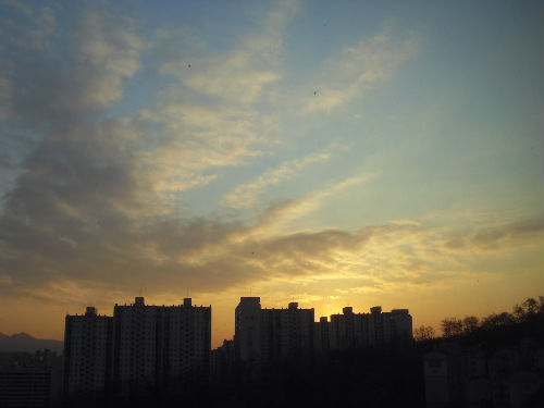 SDC12531_copy.jpg