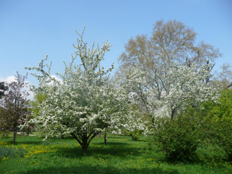 spring1.JPG