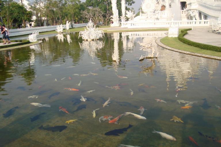 Thailandreise 496.JPG