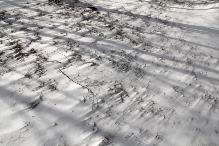 snow 9.JPG