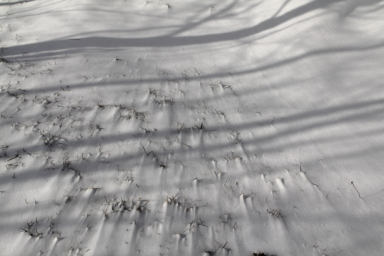 snow 9_1.JPG