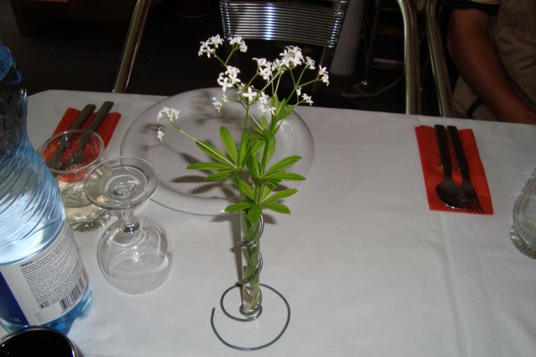 Mai.2010 129 (111)_copy.jpg