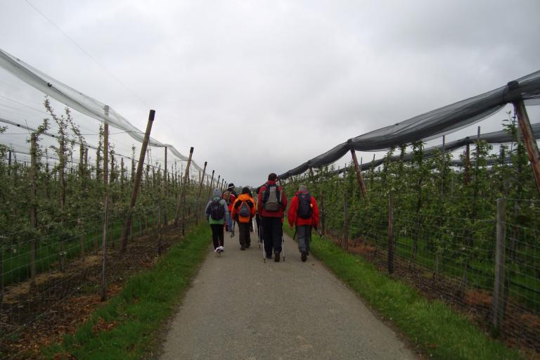 Mai.2010 129 (19)_copy.jpg