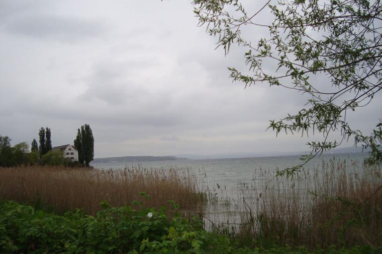 Mai.2010 129 (75)_copy.jpg