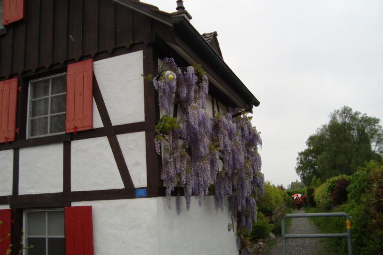 Mai.2010 129 (83)_copy.jpg