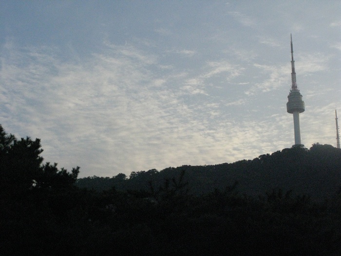 IMG_9334.JPG