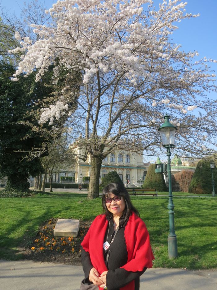 Kirschbluehte Stadtpark 3.jpg