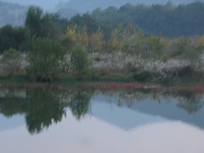 IMG_9441.JPG