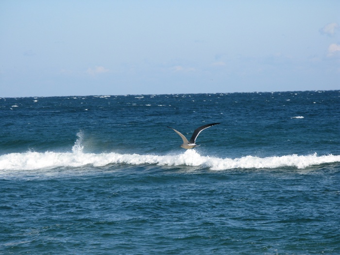 IMG_1857.JPG