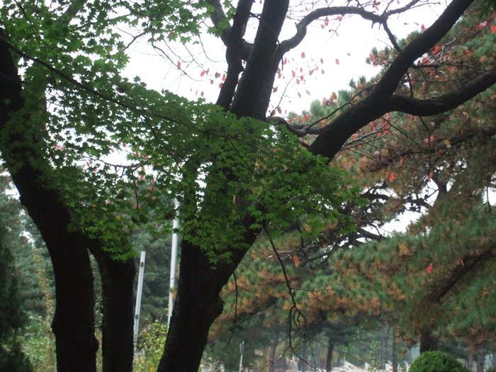 DSCF5822.JPG