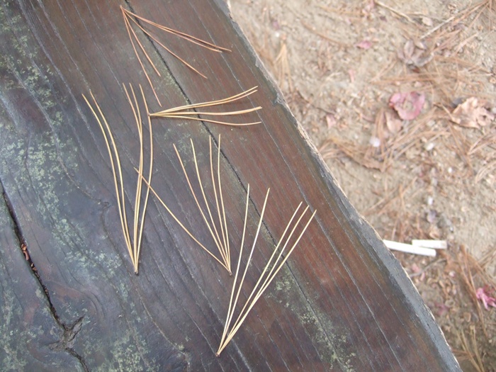 DSCF5823.JPG