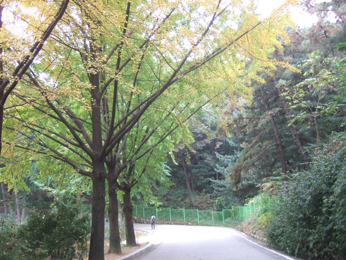 DSCF5828.JPG