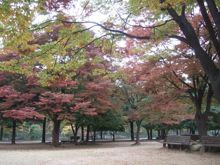 DSCF5829.JPG