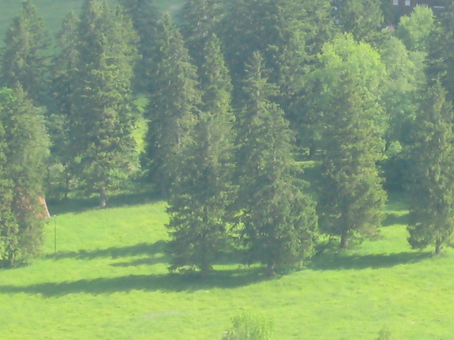 IMG_6084.JPG
