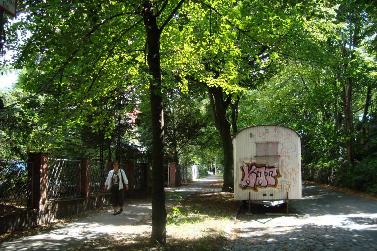 DSC07106.JPG