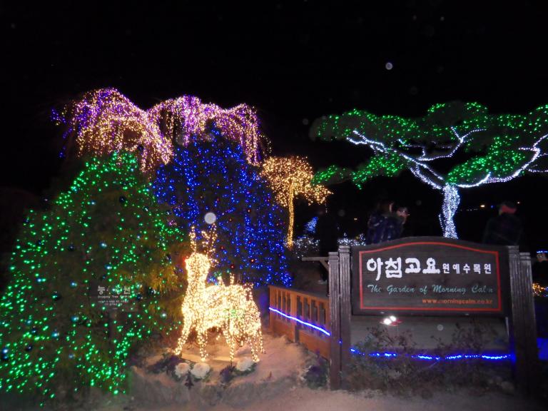 SDC12318.JPG